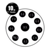 ProSound SHP10 10-Notes Hand Pan with Stand